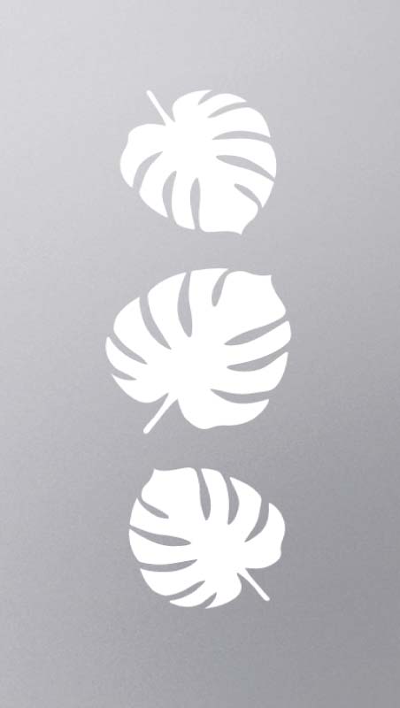 Monstera III
